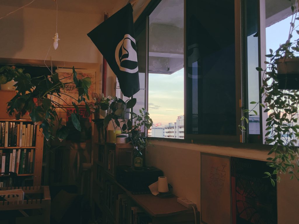 A photograph of one side of the wares library room, with a row of windows showing dusk outside. The interior has plants on top of wooden shelves of books, lit by dim warm orange lighting. A white ink on black fabric antifascist flag hangs by the window from the ceiling, and posters adorn the walls.
