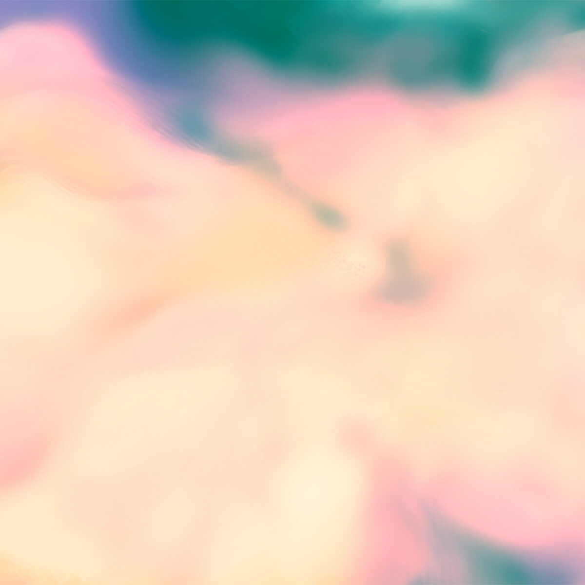 A square image that is mostly an abstract colour field. It is blurry and cloud-like, primarily being bright yellow, orange, pinks in the centre, with purples, dark blues, and greens on the top and bottom fringes.