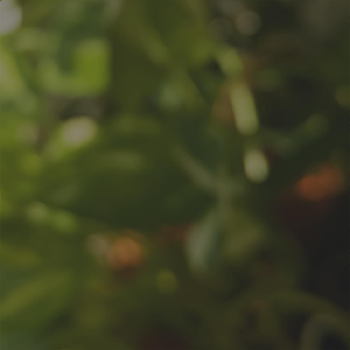 We’re still here, help us keep going!